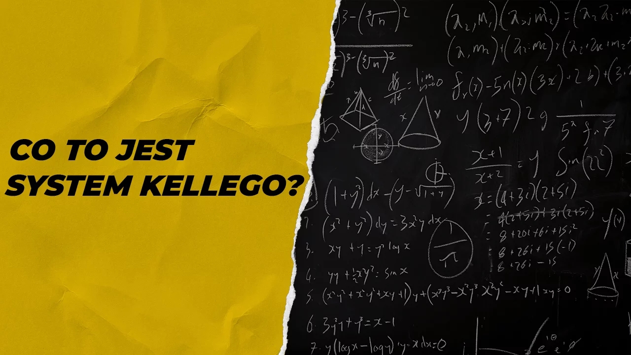 System Kellego