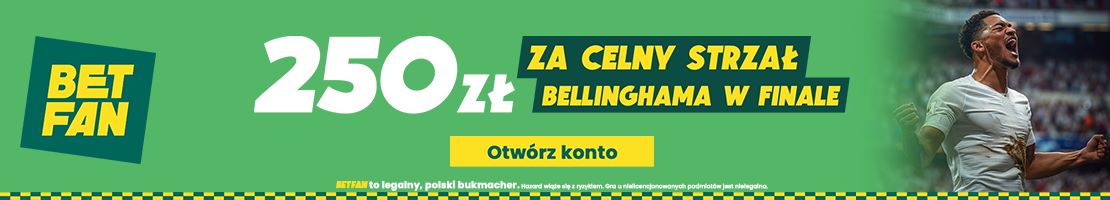 Bellingham baner