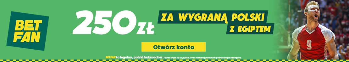 polska baner promocyjny