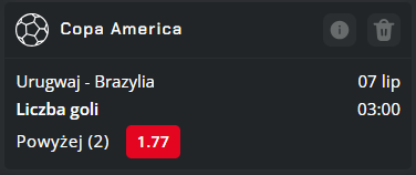 typy dnia 06.07 Brazylia