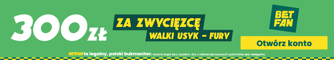 Usyk Fury