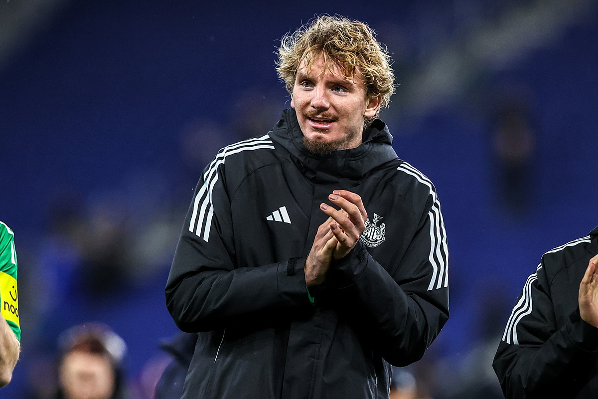 Newcastle - Tottenham. Typy bukmacherskie i analiza 02.12 | Premier League