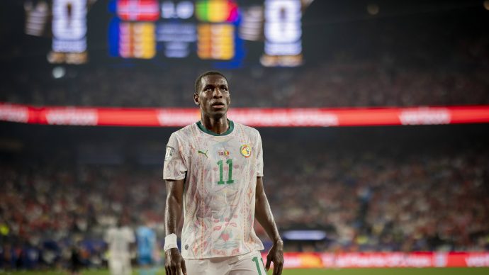 senegal typy