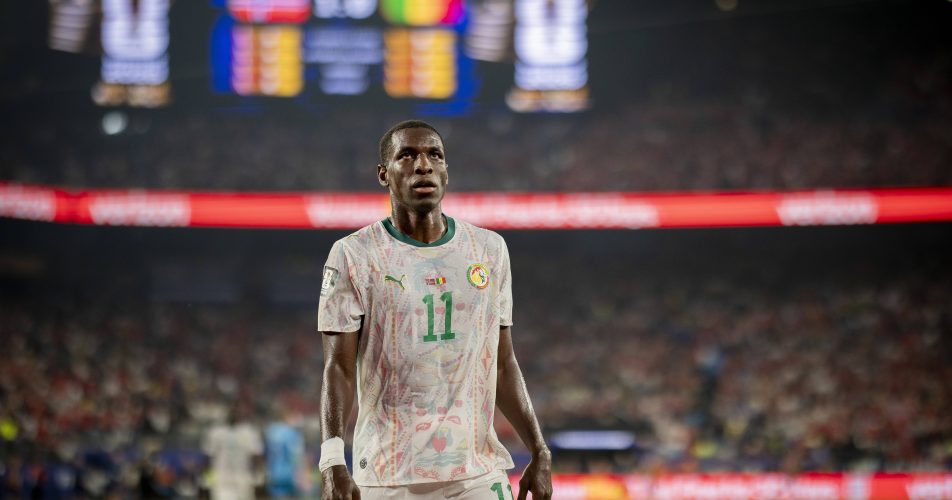 senegal typy