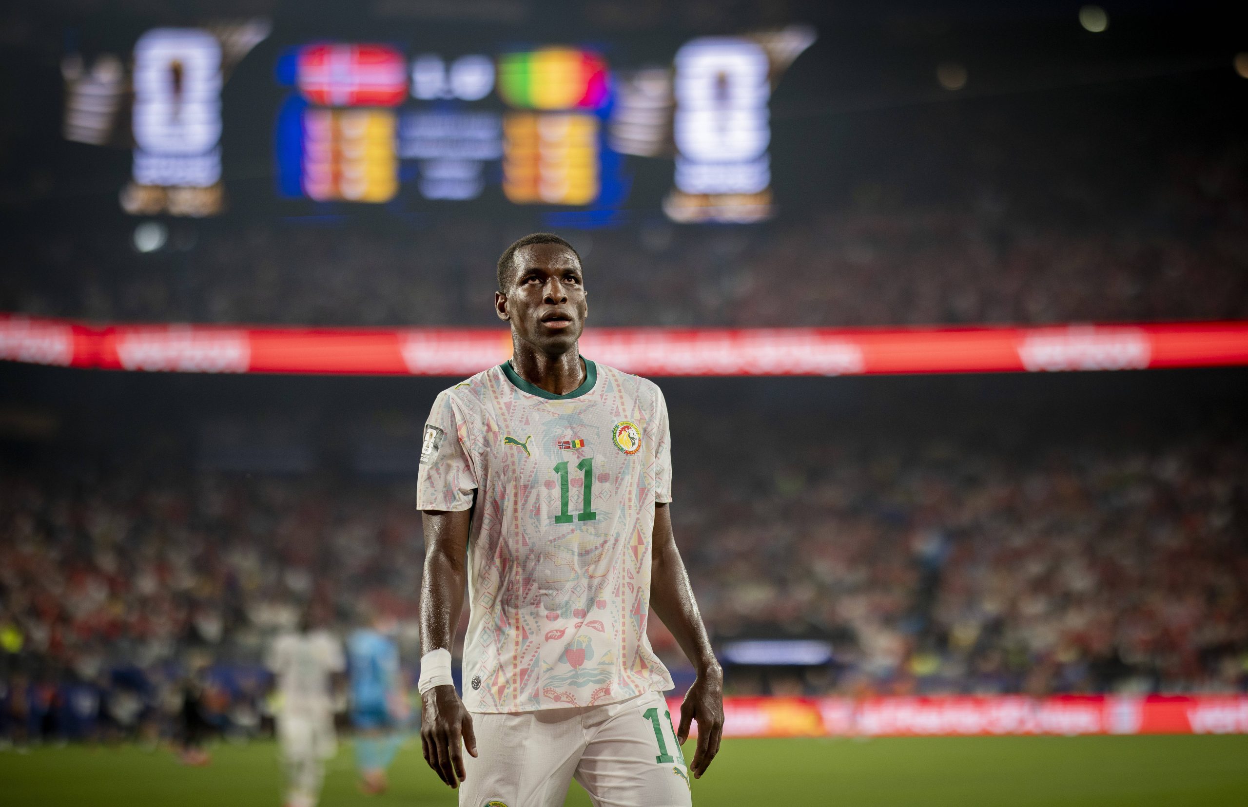 senegal typy