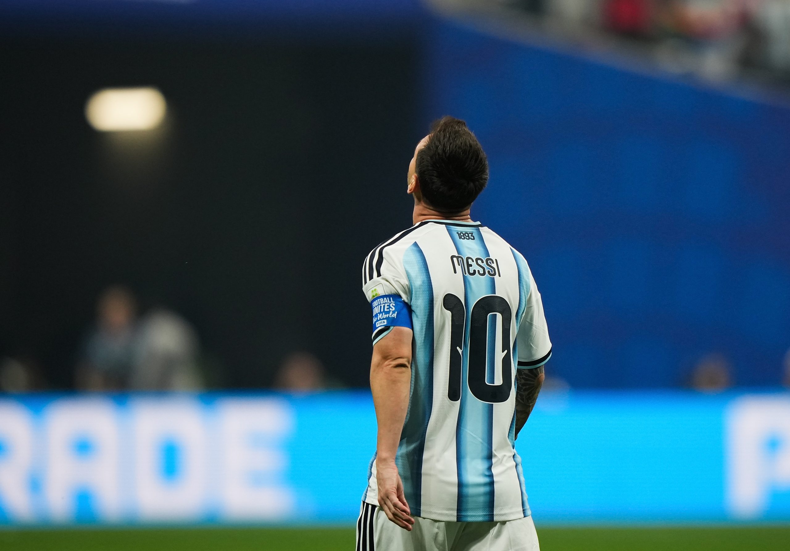 argentyna anglia typy