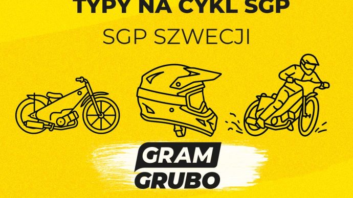 sgp szwecji typy