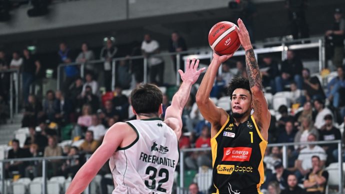 trefl king typy