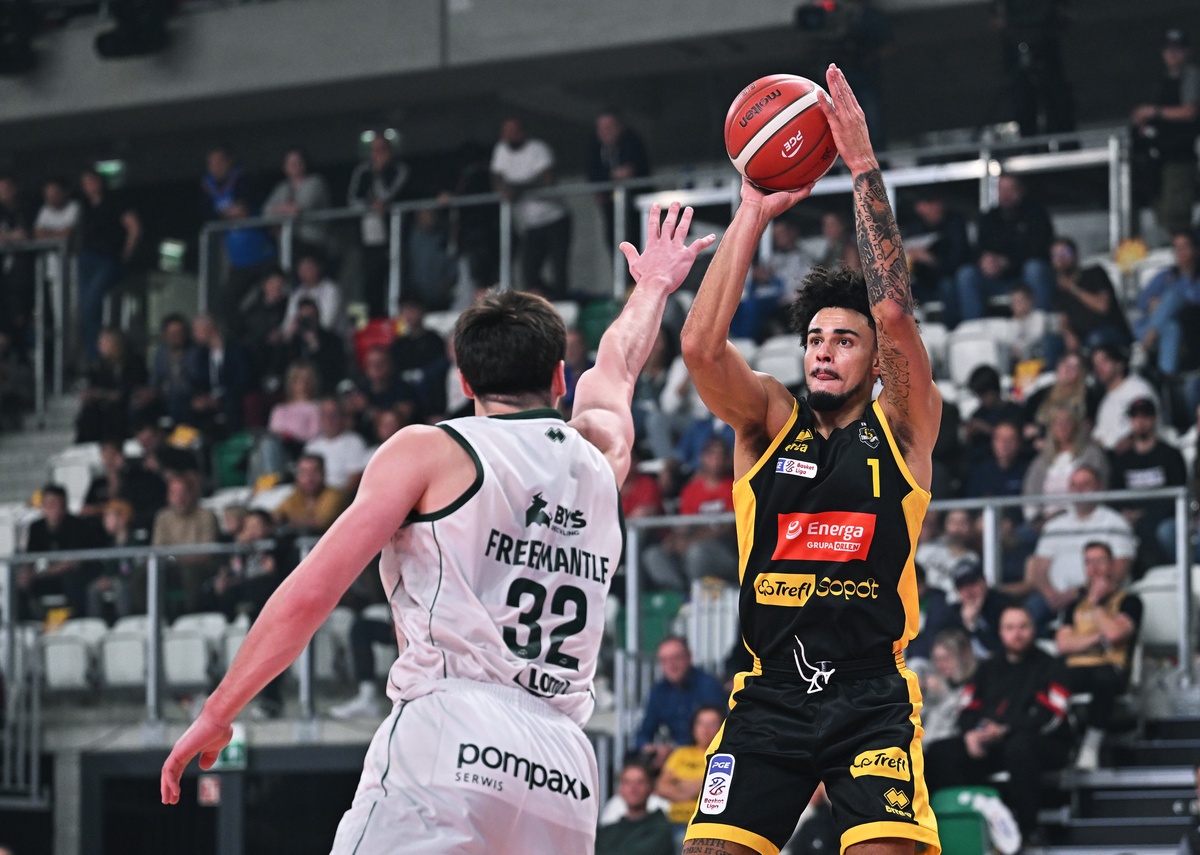 trefl king typy